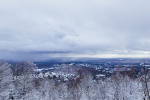 GASSI GEHEN IN KÖNIGSTEIN - MIT HUND AM LIPSTEMPEL