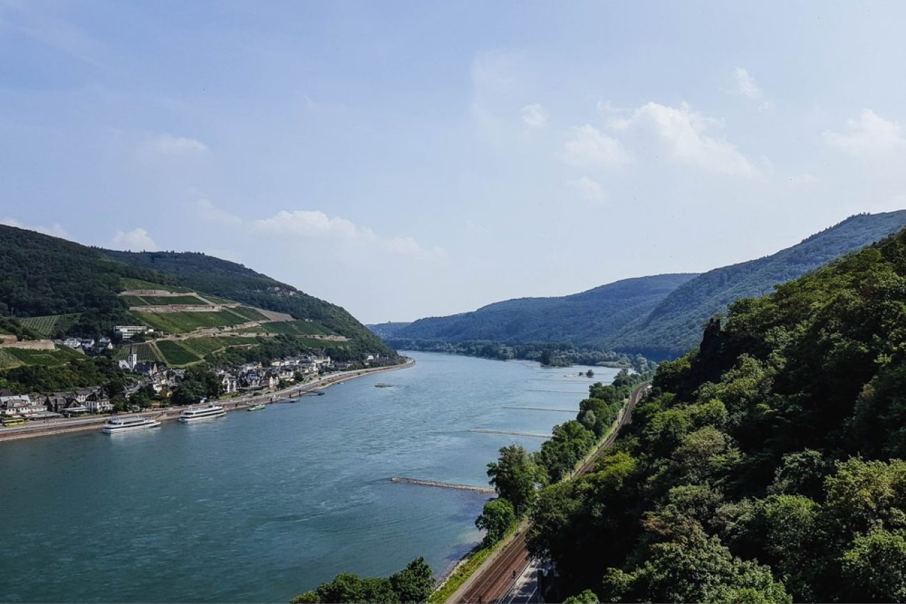 Mit dem Hund am Rhein - Burg Rheinstein