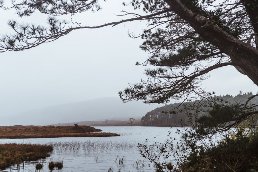 glenveagh-nationalpark-mit-hund-in-irland