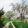 MIT HUND AM PILGERRAIN - GASSI GEHEN IN BAD HOMBURG