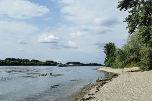 GASSI GEHEN IN WALLUF - MIT HUND ENTLANG DES LEINENPFADES