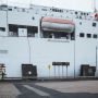 Irland mit Hund - Überfahrt Eurotunnel und Fähre
