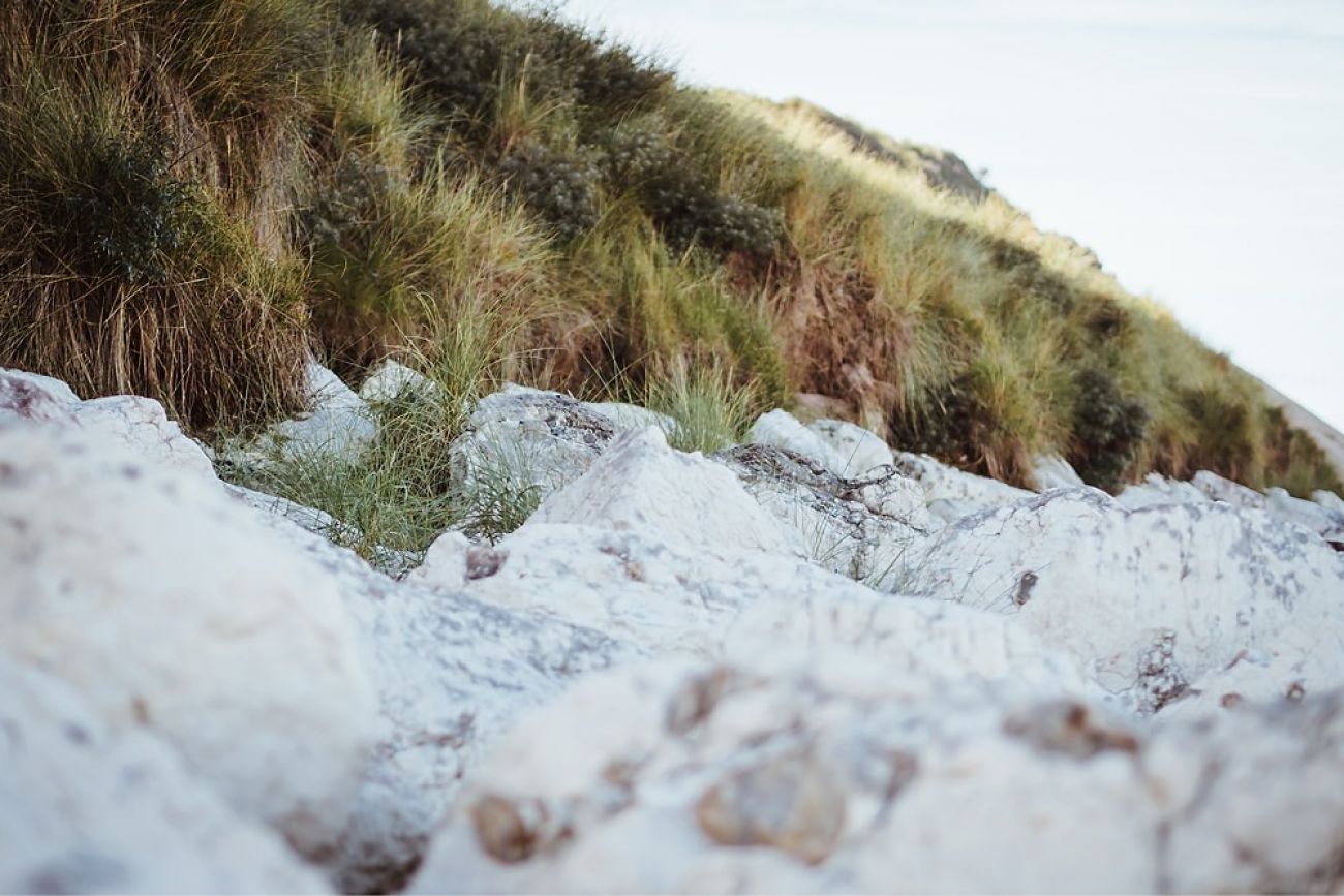 Whiterocks Beach in Nordirland mit Hund