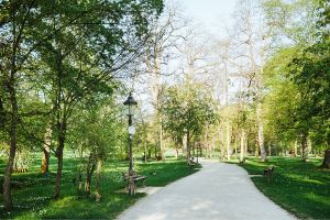 MIT HUND IM KURPARK - GASSI GEHEN IN BAD HOMBURG