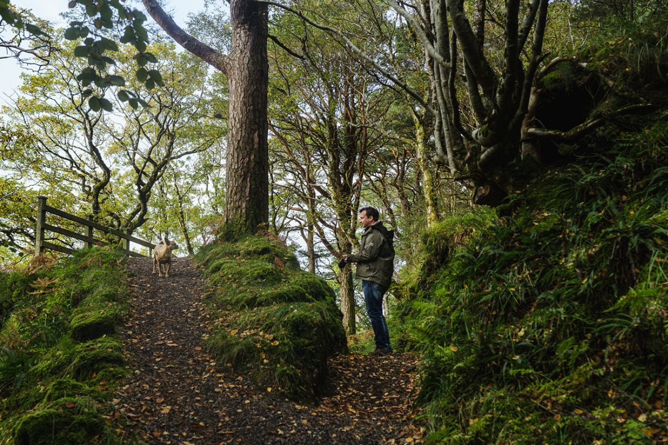 Rundweg am Gleniff Horseshoe - Mit Hund in Sligo, Irland